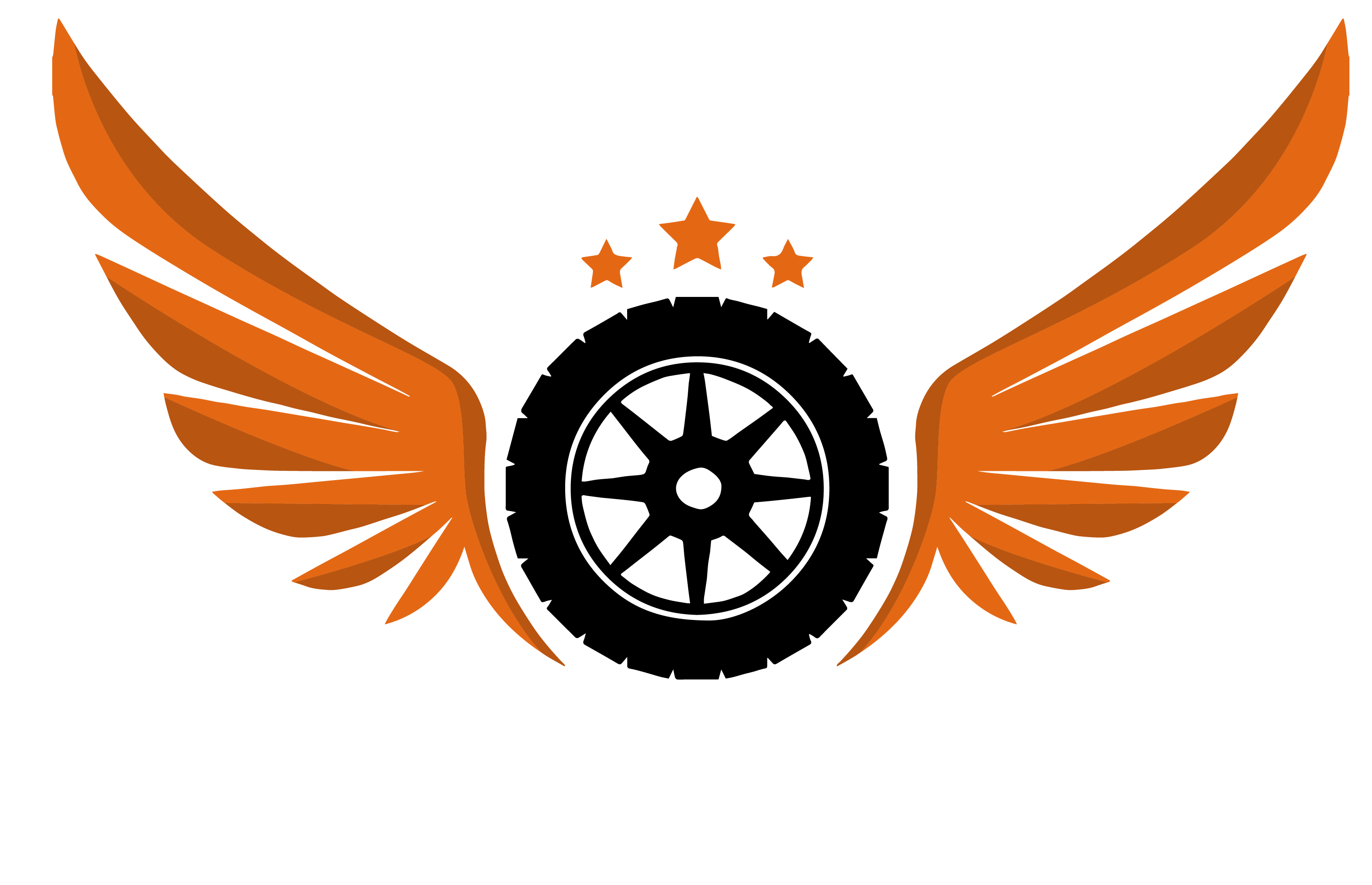 BASILIC TRANS